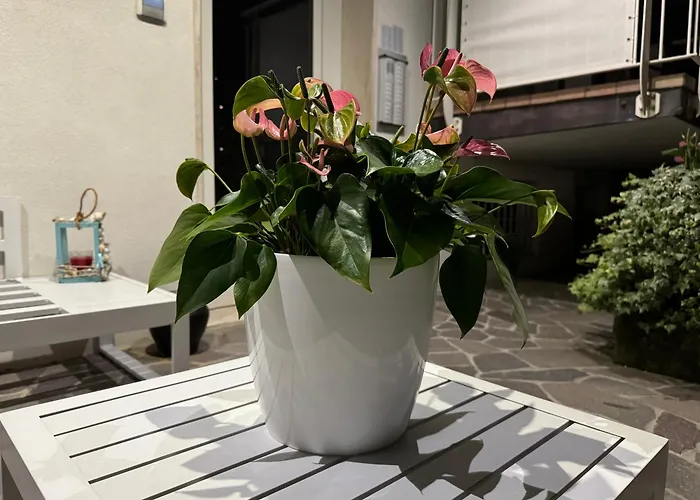 Alba D'oro Solo Famiglie E Coppie Lido di Jesolo